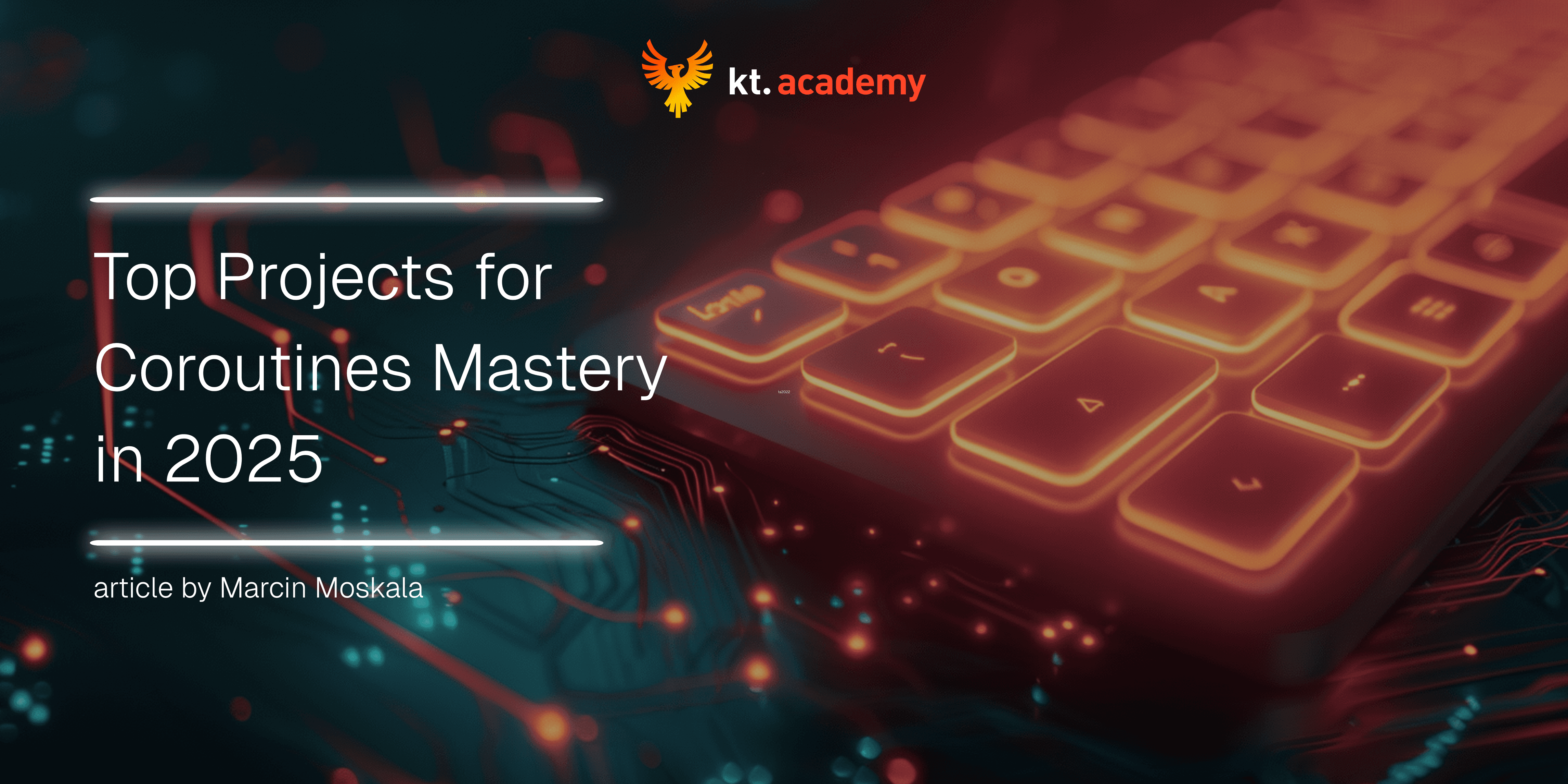 article banner (priority)